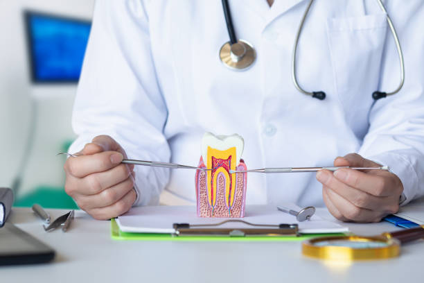 Best Emergency Wisdom Teeth Removal in Hawthorn Woods, IL